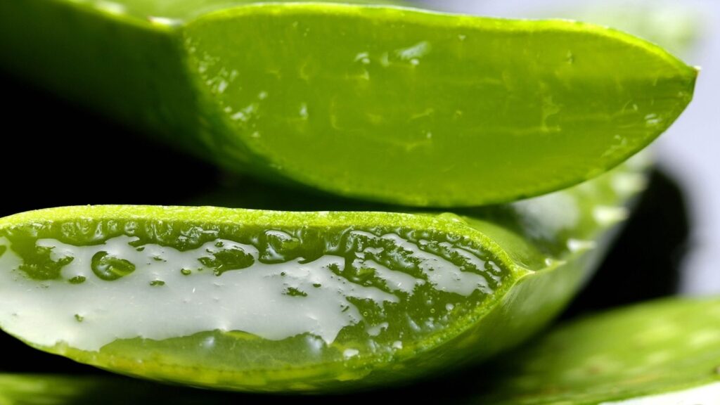 How much aloe vera juice to drink daily