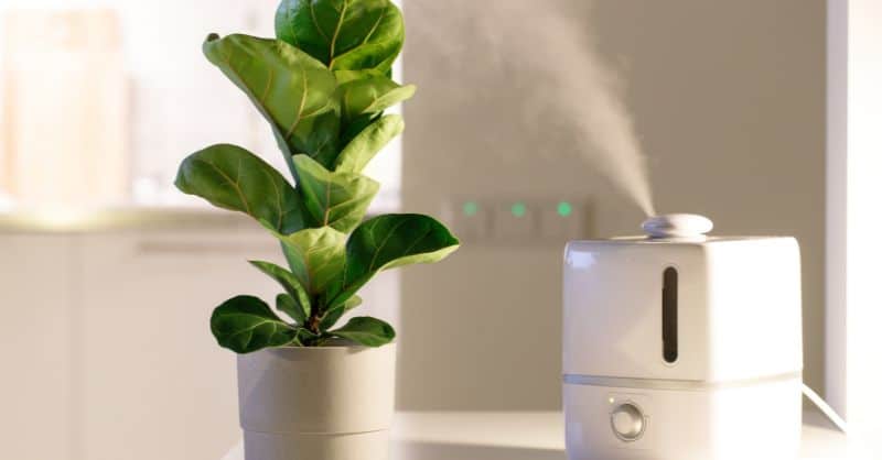 A Comprehensive Guide to Cleaning Your Humidifier: Tips, Tricks